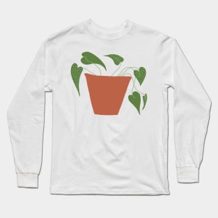 Pot plant - sweet potato Long Sleeve T-Shirt